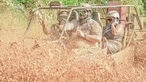 Buggy Tour in Punta Cana with Stops at Macao Beach and the cenote