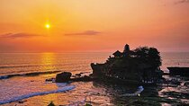 Ubud Monkey Forest, Rice Terrace and Tanah Lot Sunset Tour