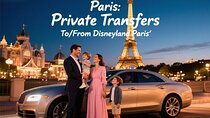 Paris:Private Transfers To/From Disneyland Paris