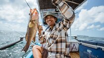 Sail and Catch Boat fishing Tour of the Coast of Kota Kinabalu