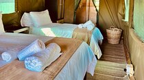 2 Day Pilanesberg Camping Safari from Johannesburg