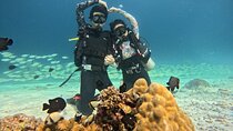 Phuket: Scuba Dive Racha and Coral Islands with Snorkeling Tour