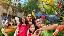 Bali Bird Park Admission Pass