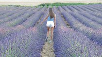 True Provence Road Trip Scenic Waters Wine and Lavender Sunset