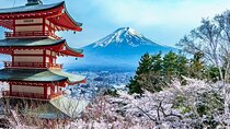 Mt Fuji and Hakone Private tour in Luxury Vehicle with Pro guide