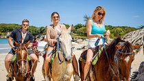 Dominican Countryside Horseback Riding Tour + Beach and Local Culture