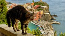 Classic Cinque Terre by Train or Ferry from La Spezia Cruise Port
