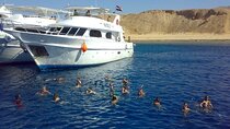 Tiran Island Snorkeling Trip W/Lunch & Transfer – Sharm El Sheikh