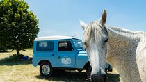 Private Full Day Burgundy Wine Tour by vintage Land Rover (Lyon)