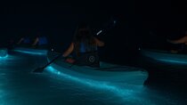 Kayak Tours and Rentals. Dolphins, Manatees, and Bioluminescence!
