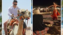 1-Hour Camel Ride, Bedouin night, Dinner,Transfer-Sharm El Sheikh