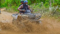 Buggy Tour of the Dominican Countryside + Beach and Local Culture