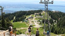 Grouse Mountain & Capilano Bridge Tour with Fish Hatchery