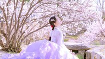 Seoul Premium Hanbok Rental at Arihanbok Photoshoot Included