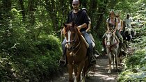 Lunigiana Horseback Ride with Lunch in Tuscany