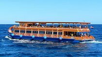 Nefertari Snorkeling Cruise from Marsa Alam with Seafood Lunch