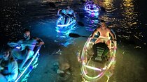 Glowing Night Kayak Tour with LED lights and Moonlight