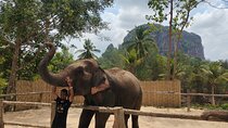 Experience Krabi Elephant care and bath in Ao Nang