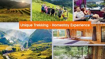 2 Nights in Different Homestay Sapa - Trekking & Fansipan peak