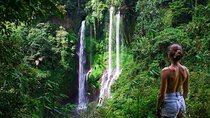 North Bali Tour with Twin Waterfalls and Temple