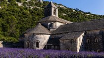 The Essence of Provence and Explore at Your Pace