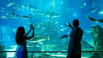 Barcelona Aquarium Skip the Line Ticket