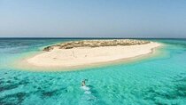 Hamata Island Snorkeling Adventure with Lunch : Marsa Alam 