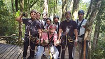 Treetop Canopy Tour and Jeffreys Bay Highlights Tour 