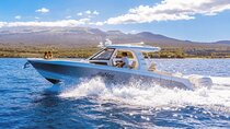 Maui Luxury Boston Whaler Private Charter for up to 6 Passengers