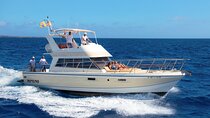Discover whales in Tenerife: yacht tour with bath and lunch