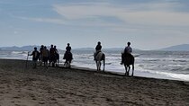 Horseback Riding Through the Tuscan Hills of Castagneto Carducci
