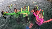 Sydney Family Snorkelling Eco Tour 