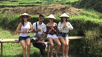 One Day UBUD Private Tour From Benoa Port Bali