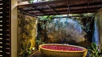 Ubud Luxury Bali Spa Massage with amidst rice fields