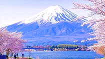 Mt. Fuji Day tour: Kawaguchi Lake Ropeway, Matcha, Oshino Hakkai 