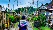 Besakih Mother Temple, Penglipuran Village and More - Full Day