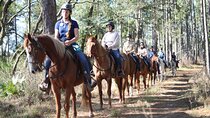 Guided Two Hour Horseback Trail Ride in Central Florida