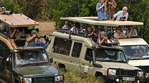 Multi Day Breathtaking Kenya Wildlife Private Safari