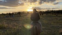 Sunset Trail Ride and Campfire Experience at Rock Springs