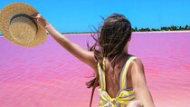 Rio Lagartos and Las Coloradas Day Tour from Cancun