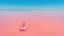 Full Day Tour from Cancun Rio Lagartos and Las Coloradas