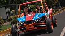 Alquiler de Buggy en el Causeway de Amador