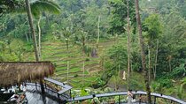All-Inclusive Ubud Discovery Day Tour 
