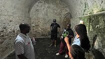  2 Day Private Explore Cape Coast Castle/Kakum National Park