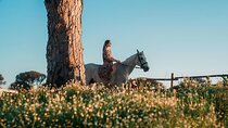 Horseback Riding Experience in Castel Fusano near Rome