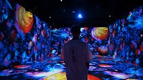 Immersive Digital Art Experience in Sofia