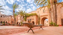 Discover Agadir city including the Medina