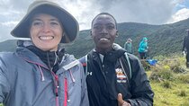  1 Day Bisoke Volcano Hike Tour from Kigali with Private 4WD
