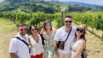 Tuscany Wine Tour: 2 Wineries & San Gimignano from Rome