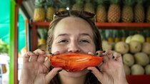 Playa del Camen Vegan Mexican Food Tour